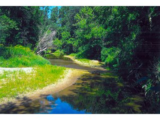 Racoon Creek - LAND AUCTION, 223+/- Acres offered in 3 Tracts